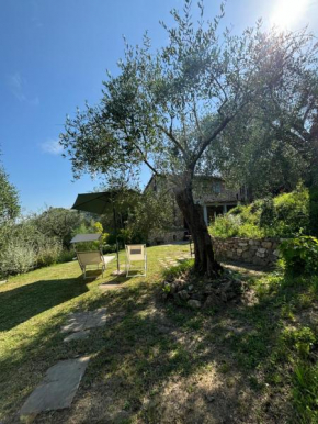 Le Capanne di Torre